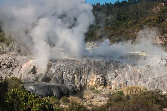 volcanic valley in Rotorua, New Zealand