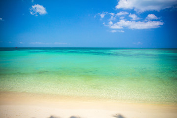 Obraz premium Tropical beach at Koh Phangan - nature background. Thailand