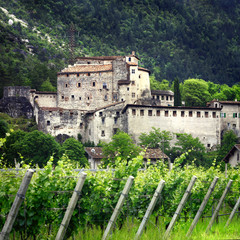 Obraz premium scenery of Italy - vineyards and castles ( Trento north)