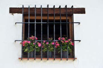 VENTANA CON FLORES