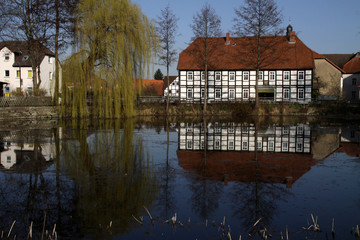 Fototapete bei efototapeten.de bestellen   