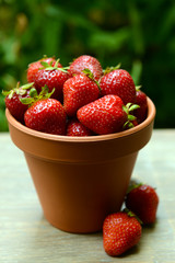 Ripe sweet strawberries in pot on table in garden