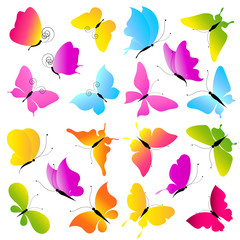 butterflies design