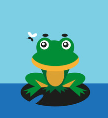 Frog and fly