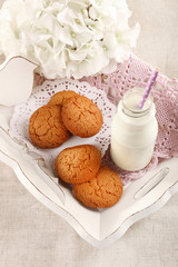 Milk and cookies on tray on table