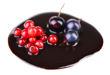 Berries  in chocolate sauce isolated on white