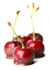 Sweet cherries with chocolate, isolated on white