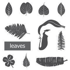 Leaves icon set. © badztua