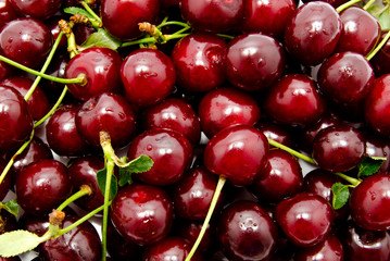 Background of cherry with leaf