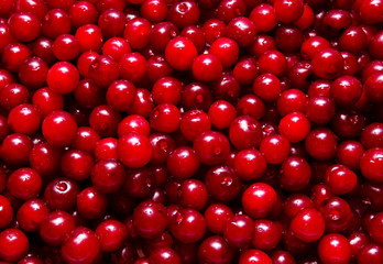 Background of ripe cherry