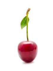 Juicy cherry with leaf isolated