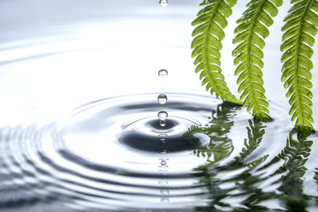 drop of water