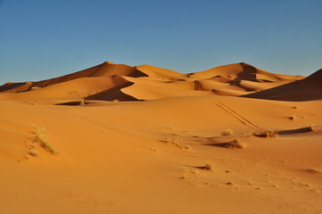 Fototapeta na wymiar Pustynia w Maroko Merzouga