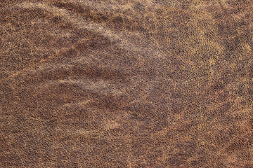 Old Cowhide Crumpled Grunge Texture