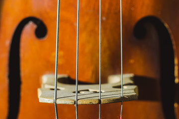 contrabass strings © orest86