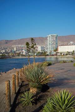 City of Antofagasta in Chile