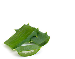 aloe vera fresh leaf. isolated over white