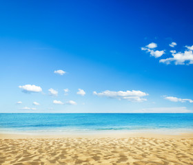beach and tropical sea - 66712305