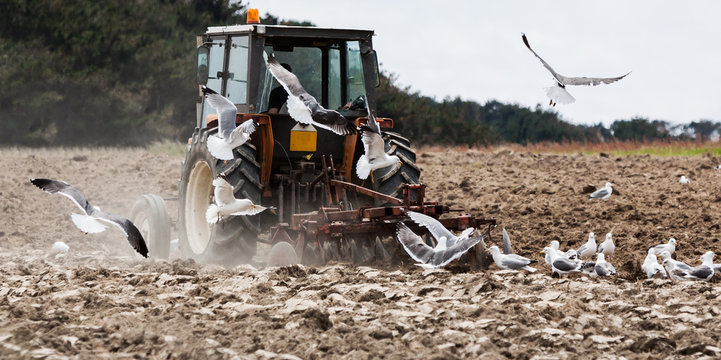 Agriculture, labour