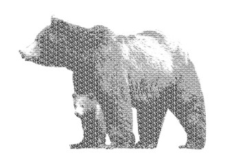 word bear mixed to be figure of bear, with typography style, iso