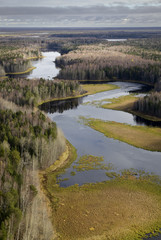 Forest in autumn, top view