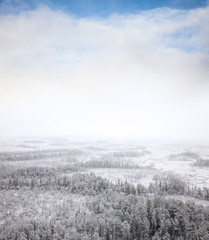 Obraz na płótnie Canvas Snowstorm over the forest, top view