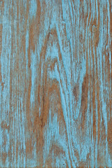 Wood texture