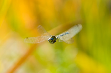 Flug 2