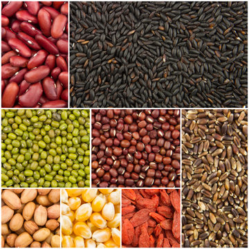grain collection