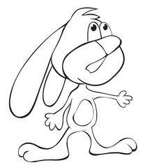 Funny rabbit