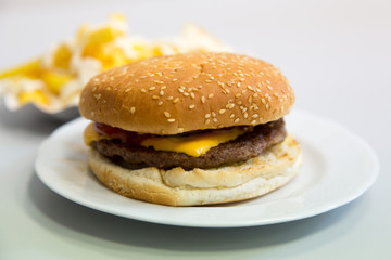 Ein Burger mit Pommes