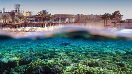 Split-Shot of Hotel Reef in Egypt