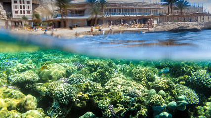 Over-Under Photo of Hotel Reef in Egypt