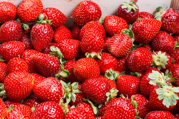 Fresh strawberries on wood background