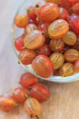 Fresh gooseberry close-up