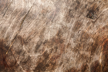 Wood background and texture