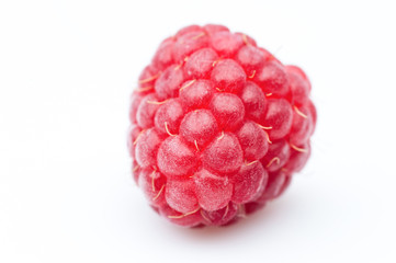 one big red raspberry