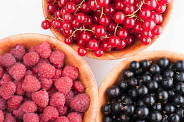 tree plates with berries