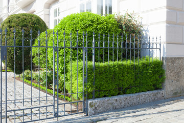 Vorgarten mit Zaun