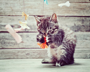 Kitten plays with paper bow