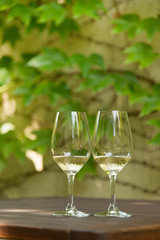 Wine tasting at Tokaj winery backyard, Hungary