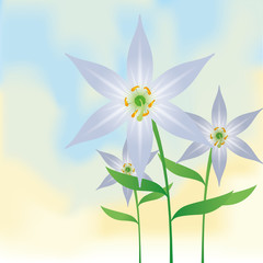 Fototapeta na wymiar Stylish Flower Illustration Isolated On Background
