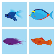 Set Of Different Fishes Isolated On Background