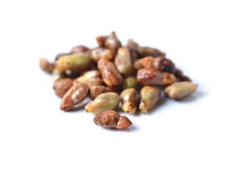 grape seeds on white background macro closeup