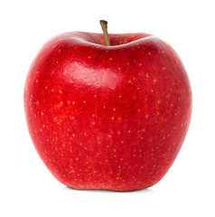 Red apple on white background