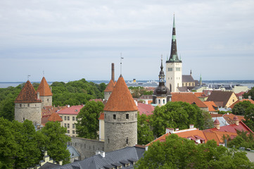 Fototapeta premium Облачный летний день в старом Таллине