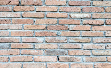 Fototapeta premium brick wall texture background