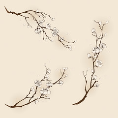 Plum blossom with line design in three different compositions.