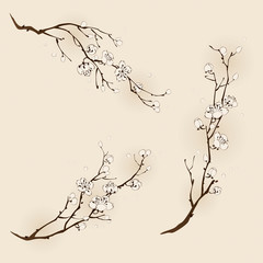 Obraz premium Plum blossom with line design in three different compositions.