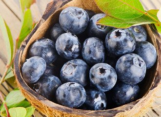 Fresh blueberries
